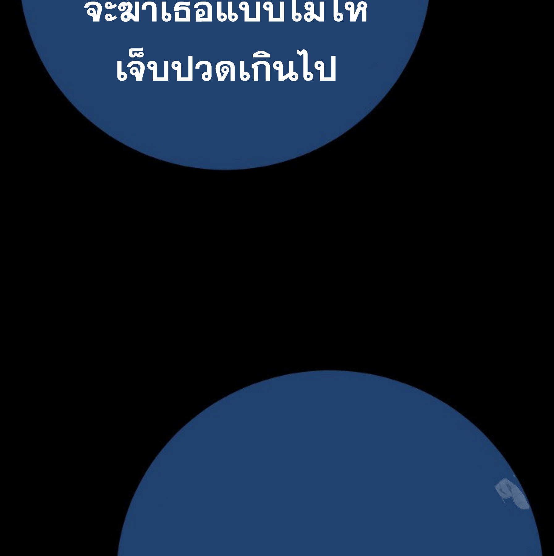 หน้า 100