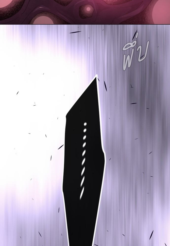 หน้า 245